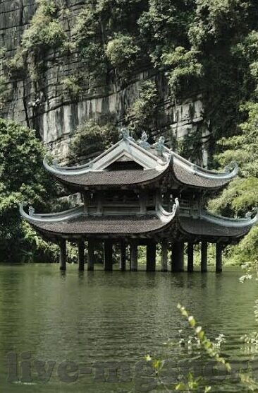 世界杯大神秀里的小新-世界杯大神秀里的小新，足球与动画的奇妙碰撞